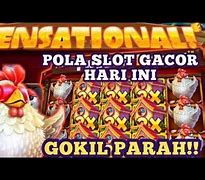 The Tweety House Slot Hari Ini Live